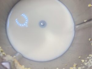 营养炒饭➕牛奶玉米汁